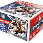 Battle of Princeton